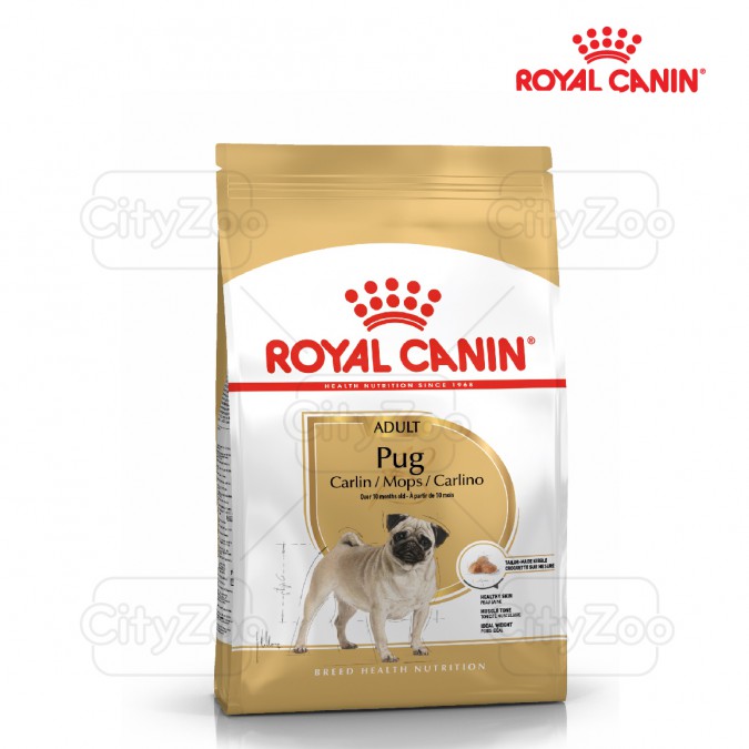ROYAL CANIN PUG ADULT